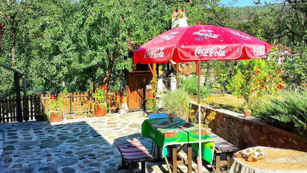 Mechta Guest House Koprivshtitsa Ngoại thất bức ảnh